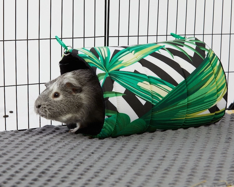 Tunel dla świnki morskiej (8).jpg