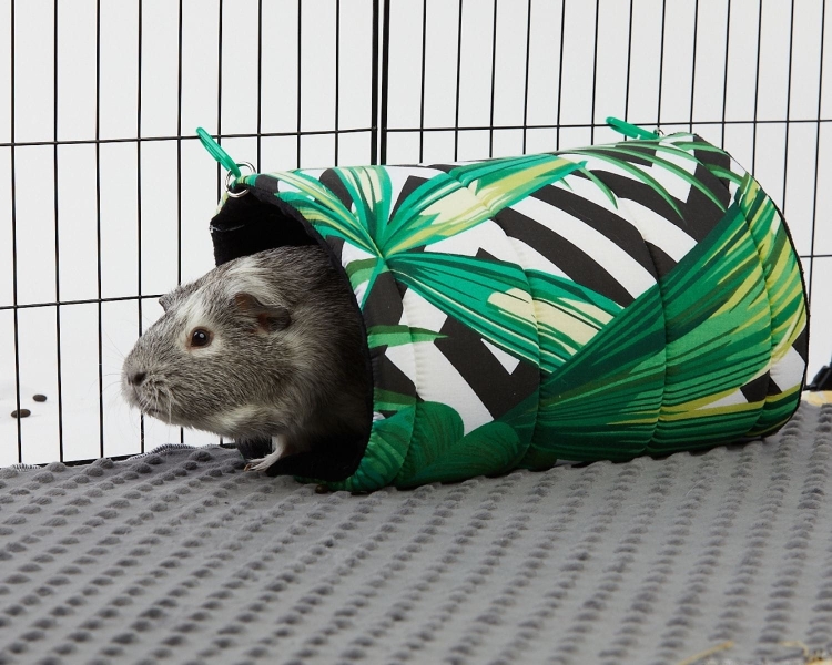 Tunel dla świnki morskiej (8).jpg