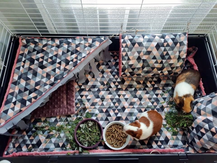 tunele dla świnki morskiej (21).jpg