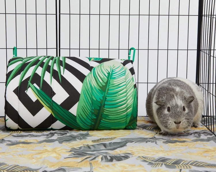 Tunel dla świnki morskiej (7).jpg