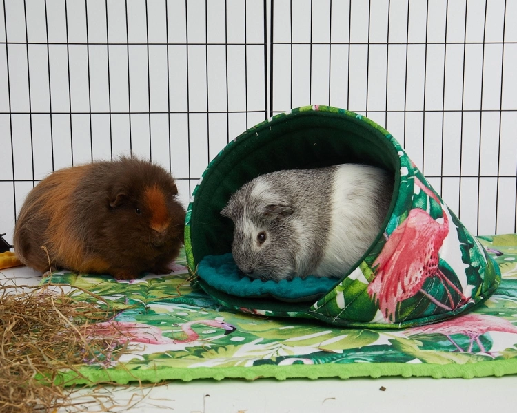Domek dla gryzoni (2).jpg