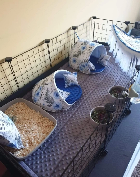 Legowisko-budka podkowa 25x25 dla świnki morskiej - bez progu