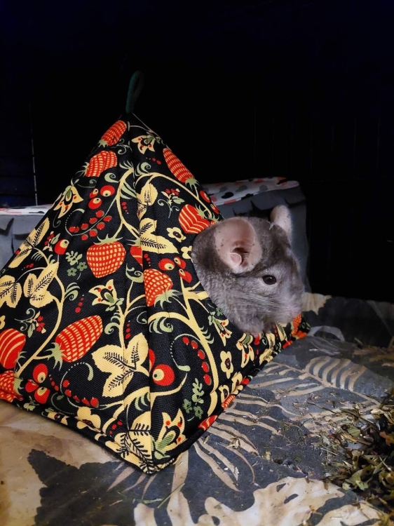 domek piramidka (2).jpg