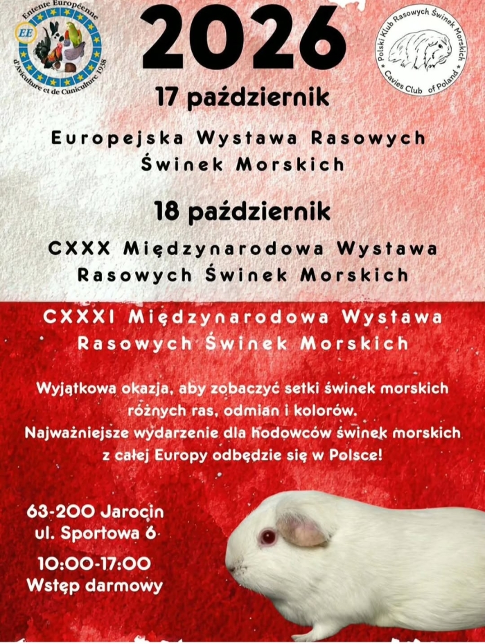 Stylowość w każdym szwie